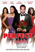 2725429_The_Perfect_Man_2011